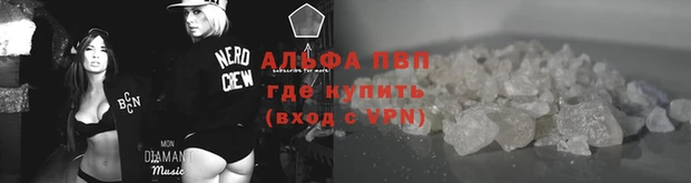spice Алзамай