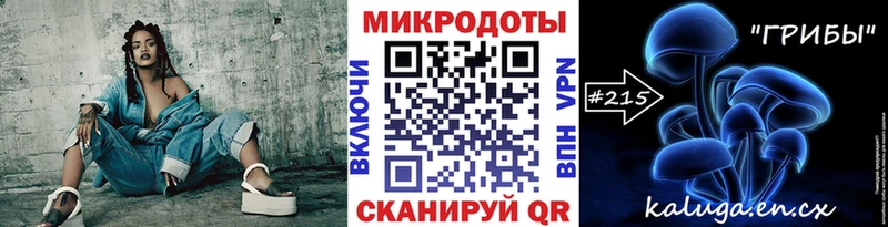 Псилоцибиновые грибы Cubensis  продажа наркотиков  Камышин 
