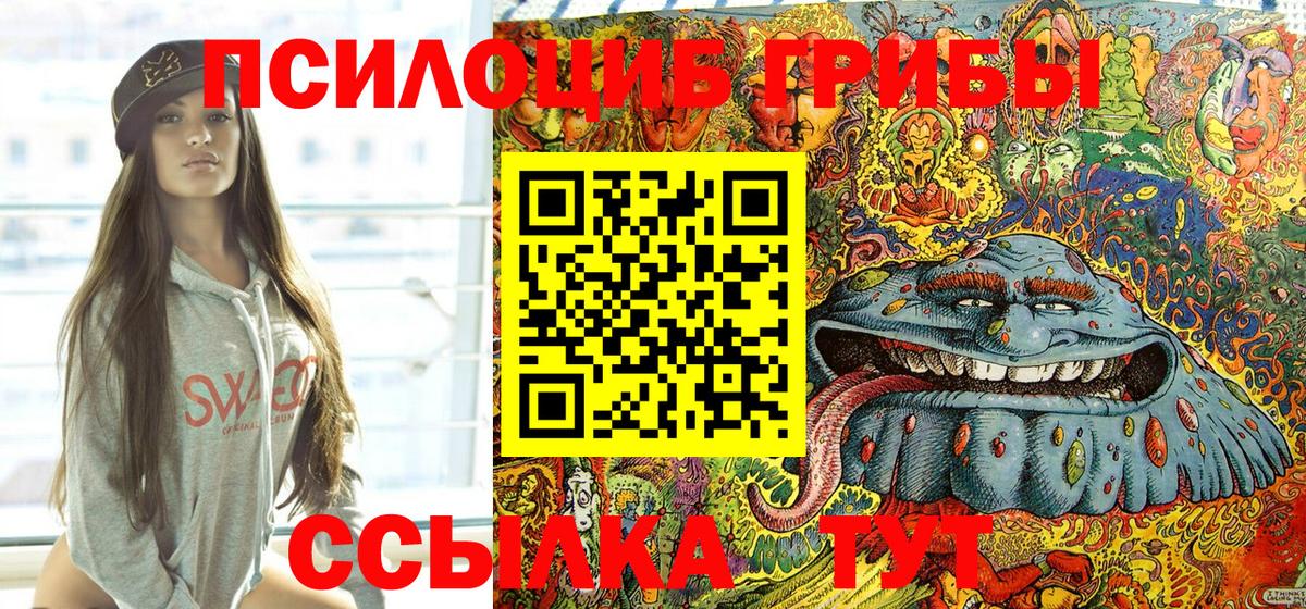 Галлюциногенные грибы Psilocybine cubensis  Вход с VPN  Галлюциногенные грибы GOLDEN TEACHER  цена наркотик  Камышин 
