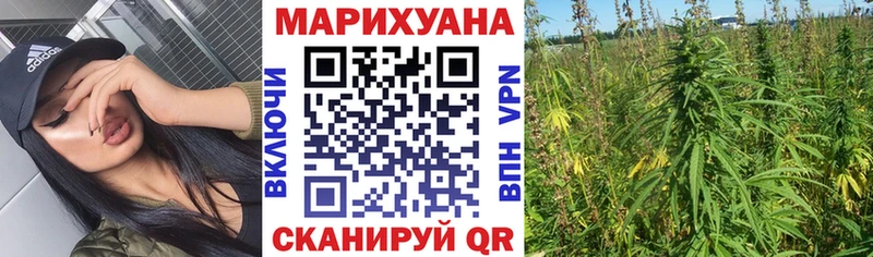 закладки  сайты даркнета как зайти  Каннабис Bruce Banner  Камышин 
